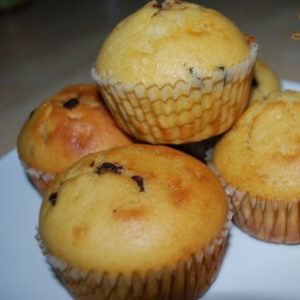 muffins