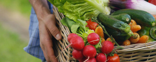 produits alimentaires des régions de France