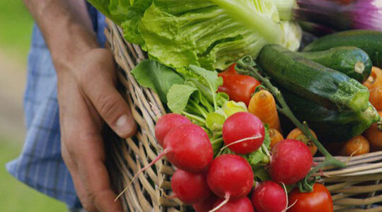 trouver-les-meilleurs-produits-alimentaires-des-regions-de-france-en-ligne